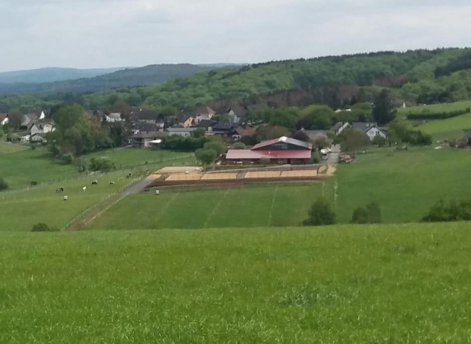 "Die Jockeysuite" Auf Unserem Reiterhof Birkenbeul Exteriör bild